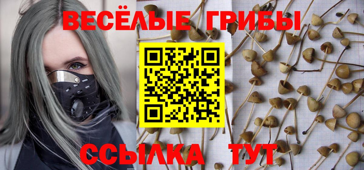 Псилоцибиновые грибы ЛСД  Вход с VPN  Куйбышев  Галлюциногенные грибы Psilocybine cubensis 